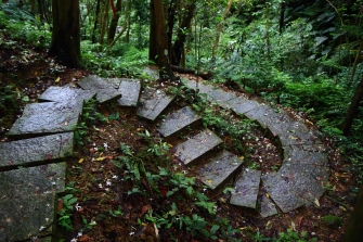 Mountain path for walking meditation at the Tiannan Temple (天南寺)